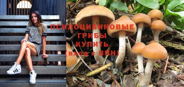 ПСИЛОЦИБИНОВЫЕ ГРИБЫ Майский