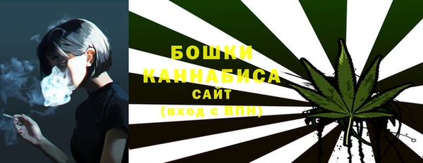 ПСИЛОЦИБИНОВЫЕ ГРИБЫ Майский