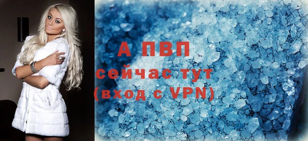 ПСИЛОЦИБИНОВЫЕ ГРИБЫ Майский