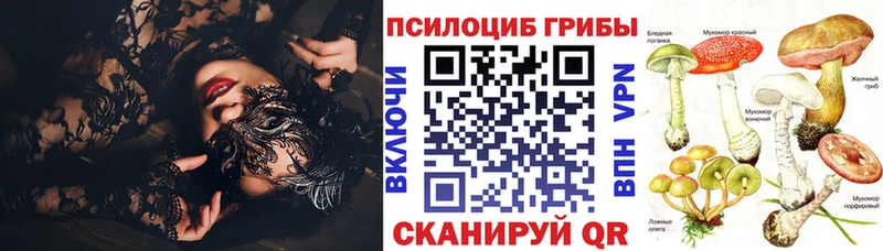 МЕГА ссылки  Болохово  Псилоцибиновые грибы Magic Shrooms 