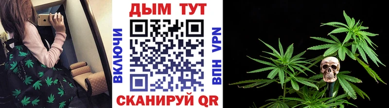 Бошки марихуана семена  Болохово 